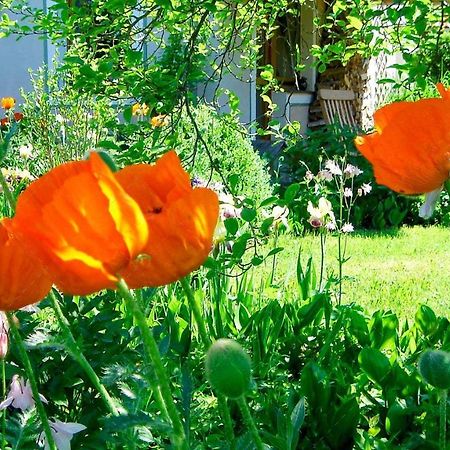 Janischs Fewo Im Spreewald, Terrasse, Grosser Garten Und Blick Inklusive Unterspreewald Bagian luar foto