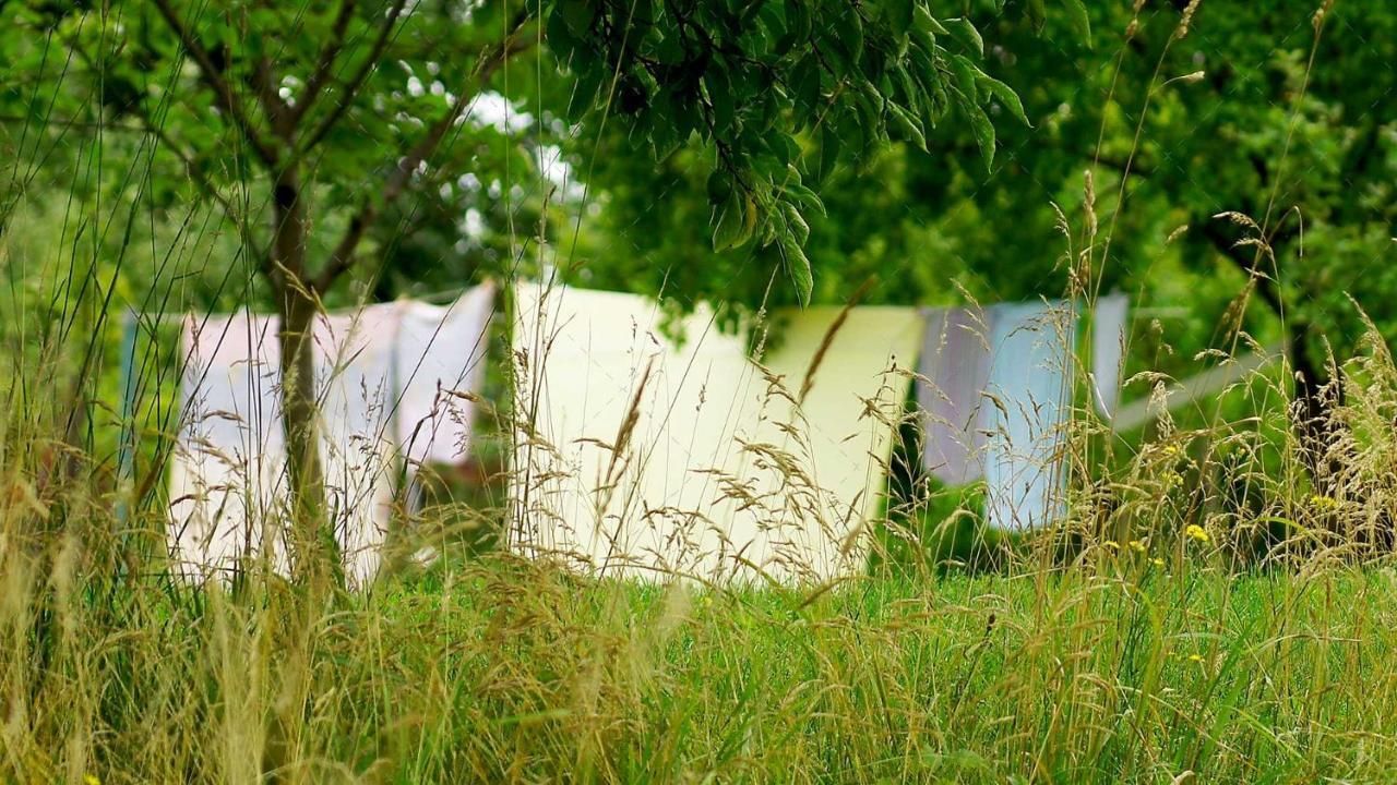 Janischs Fewo Im Spreewald, Terrasse, Grosser Garten Und Blick Inklusive Unterspreewald Bagian luar foto