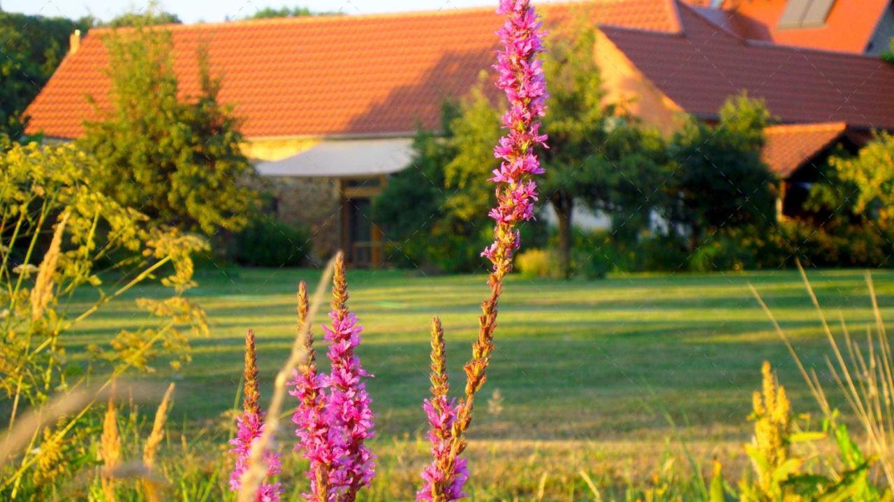 Janischs Fewo Im Spreewald, Terrasse, Grosser Garten Und Blick Inklusive Unterspreewald Bagian luar foto