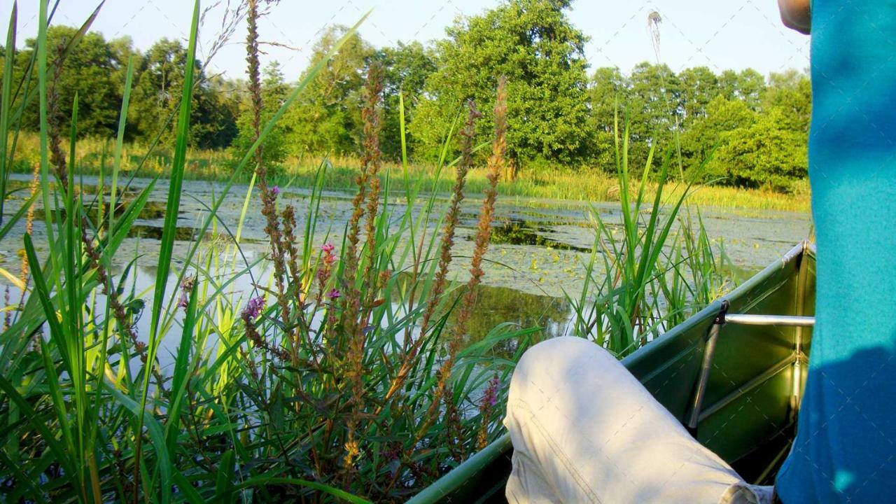 Janischs Fewo Im Spreewald, Terrasse, Grosser Garten Und Blick Inklusive Unterspreewald Bagian luar foto