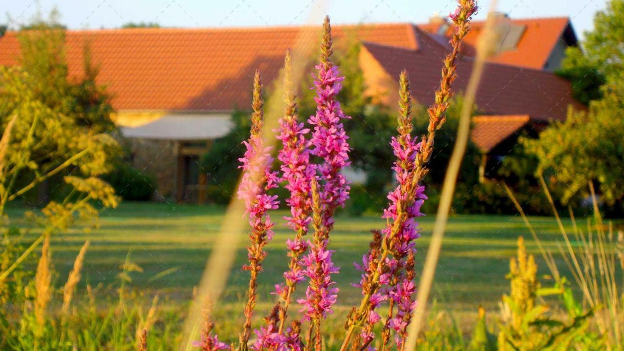 Janischs Fewo Im Spreewald, Terrasse, Grosser Garten Und Blick Inklusive Unterspreewald Bagian luar foto