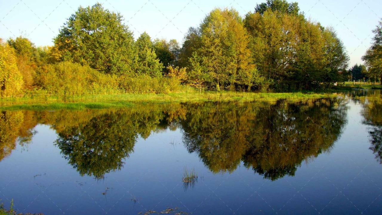 Janischs Fewo Im Spreewald, Terrasse, Grosser Garten Und Blick Inklusive Unterspreewald Bagian luar foto